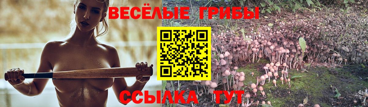 Хасавюрт  Псилоцибиновые грибы Psilocybe  Вход с VPN 